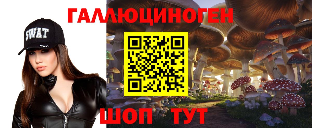 Галлюциногенные грибы прущие грибы  Псилоцибиновые грибы прущие грибы  Норильск  Вход с VPN 